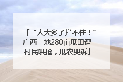 “人太多了拦不住！”广西一地280亩瓜田遭村民哄抢，瓜农哭诉